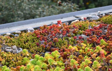 the cost of Leadaig green roof installation