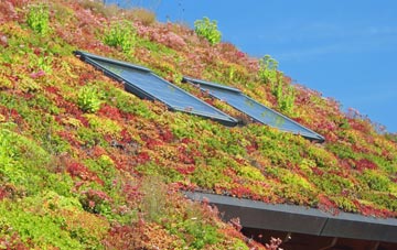Leadaig living roof systems